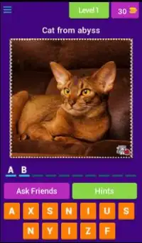 Cat Lovers Guess The Cat Game Screen Shot 1