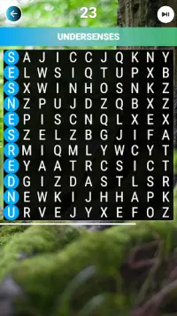 Word Hunt - The Ultimate Word Search Brain Game Screen Shot 2