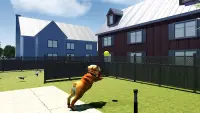Bull Dog Simulator Screen Shot 5