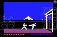 Karateka Classic Screen Shot 0