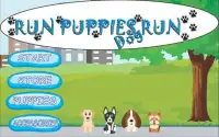 Run Puppies Dog Run Screen Shot 0