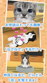 ねこ育成ゲーム - 完全無料！子猫をのんびり育てるアプリ！かわいいねこゲーム！ Screen Shot 1