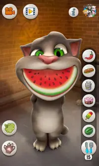 Talking Tom Cat Screen Shot 1