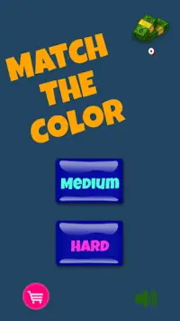 Match The Color Screen Shot 0