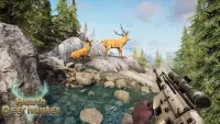 เกมล่าสัตว์ป่า UDH - Deer Shooting 2020 wild hunt Screen Shot 3