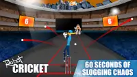 Robot Cricket Screen Shot 2