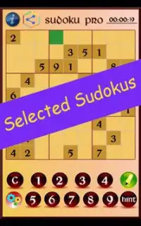 Sudoku Pro Screen Shot 13