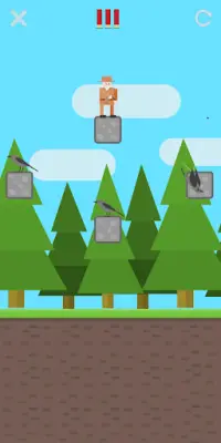 Hunter and Birds - arcade game Screen Shot 1