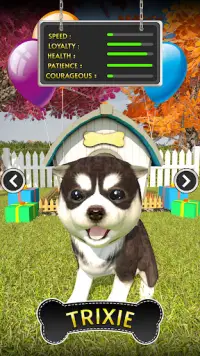 Dog Simulator Pet Dog Games 3D Screen Shot 5