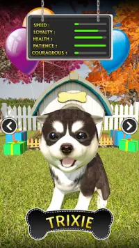 Jeux de simulateur de chien Screen Shot 5