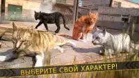 🐾 Кот Симулятор Игра 🐾 Screen Shot 11