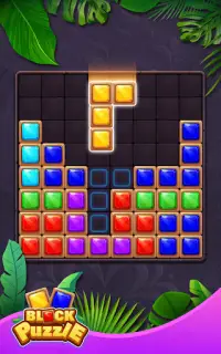 Block Puzzle-Jewel Blast Screen Shot 16