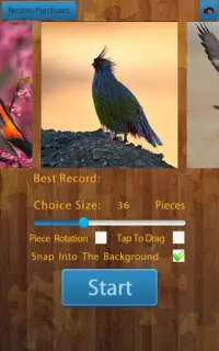 Birds Jigsaw Puzzles Game Screen Shot 11
