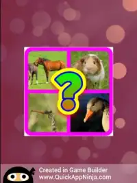Guess The Animals Quiz Screen Shot 9