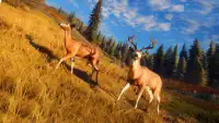 Wild Animal Hunting Game 3D Screen Shot 2