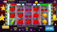 Fruit Casino Slots Screen Shot 2