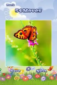 Butterfly Puzzles Screen Shot 3