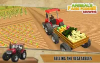 Animal Farm Fodder Growing & Harvesting Simulator Screen Shot 4