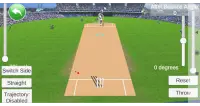 Cricket Screen Shot 0