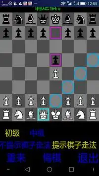 香港国际象棋 Screen Shot 1