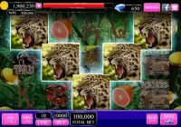 Angry Cheetah Slot Wild Pokies Screen Shot 6