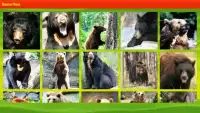 Bear Puzzle Screen Shot 9
