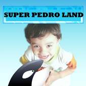 Super Pedro Land
