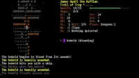 Dungeon Crawl:SS (ASCII) Screen Shot 0