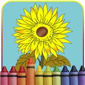 Sunflower Coloring Games