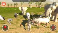 Leopard Game 3D - Симулятор для животных Safari Screen Shot 2