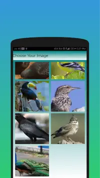 Birds Puzzle And Jigsaw Screen Shot 4