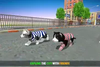 Cat Simulator Game 2020 :Kitty Running Screen Shot 6
