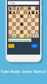 Mate in 2 Chess Tactics Screen Shot 3