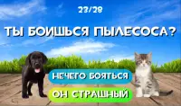 Тест какой ты котик или пёсик. Твой питомец Screen Shot 1