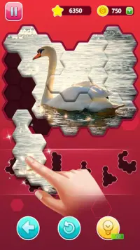 Hexa Jigsaw Epic Puzzle Screen Shot 2