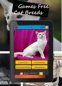 Kedi ırkları oyunu Screen Shot 14