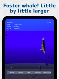 Whale training Screen Shot 0