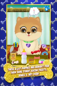 Newborn Baby Puppy Celebrity Pets - Dog Salon Game Screen Shot 0