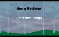 bee escape the storm - adventure bird game offline Screen Shot 2