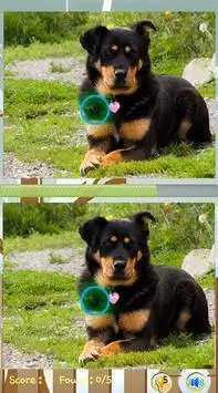 Find Difference Dog Games Screen Shot 0