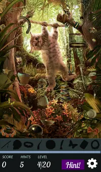 Hidden Object: Cat Island Adventure Screen Shot 2