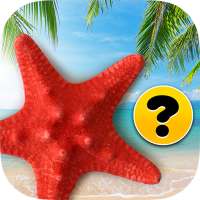 Memory game : Brain teasers : Beach *Free