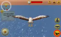 American Falcon Wild Sim 2016 Screen Shot 1