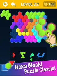 Hexa Block Puzzle : Hexagon Block Puzzle Games Screen Shot 10