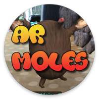 AR Whack-a-mole