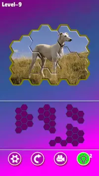 Hexa Jigsaw - Dogs jigsaw puzzle game Screen Shot 4