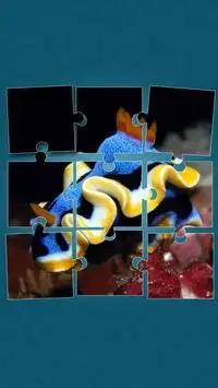 Under the Sea Jigsaw Puzzles Screen Shot 4