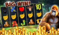 Slots Jungle Wild Kong Casino Screen Shot 0