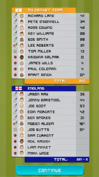 Nations Cup Cricket 2019 Screen Shot 3