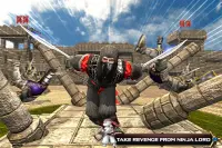 Superheldenmeister: Liga der Ninja-Legenden Screen Shot 5